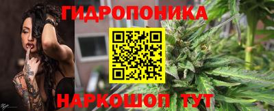 a pvp Гудермес
