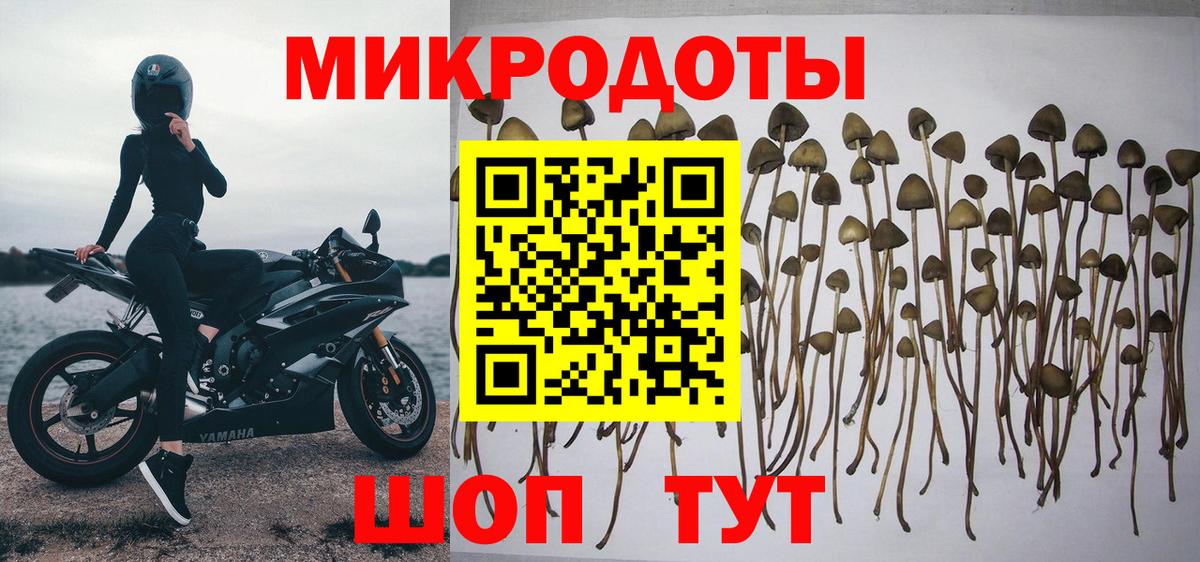 Всеволожск  Галлюциногенные грибы мухоморы  Вход с VPN 
