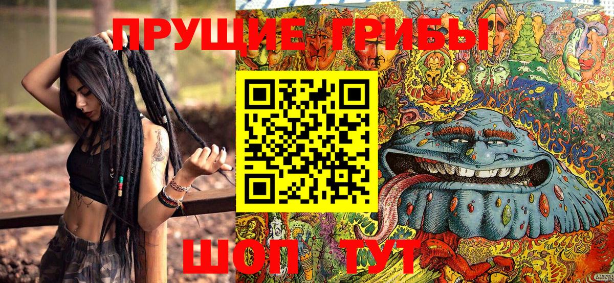 Псилоцибиновые грибы мицелий Всеволожск